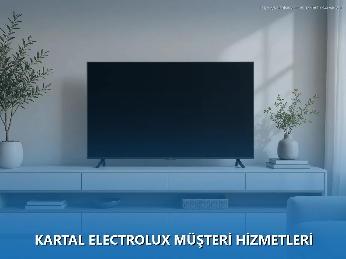 Kartal Electrolux Müşteri Hizmetleri