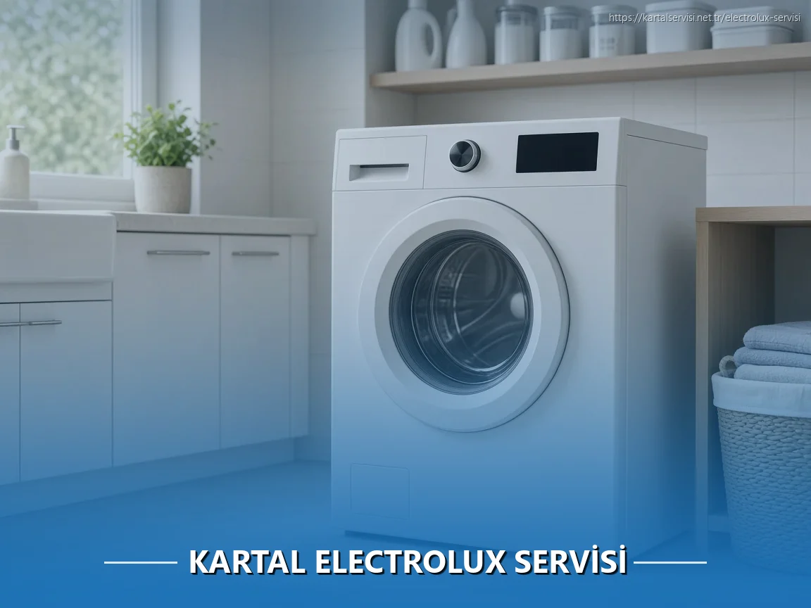 Kartal Electrolux Servisi
