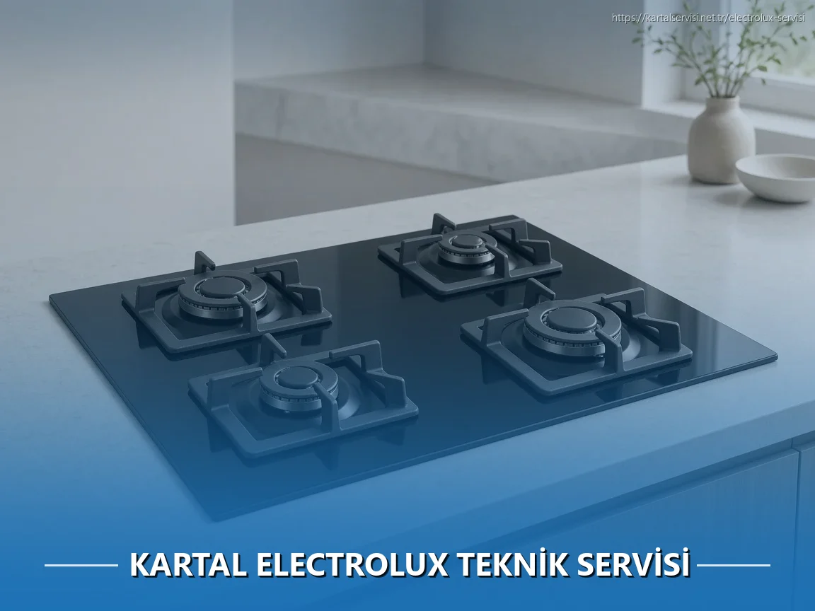Kartal Electrolux Teknik Servisi