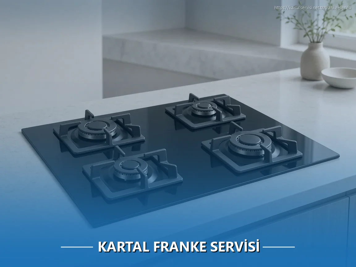 Kartal Franke Servisi